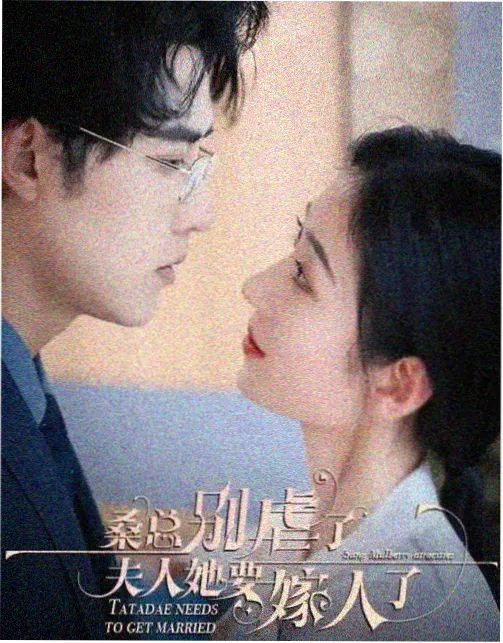 春季档题材分布观察